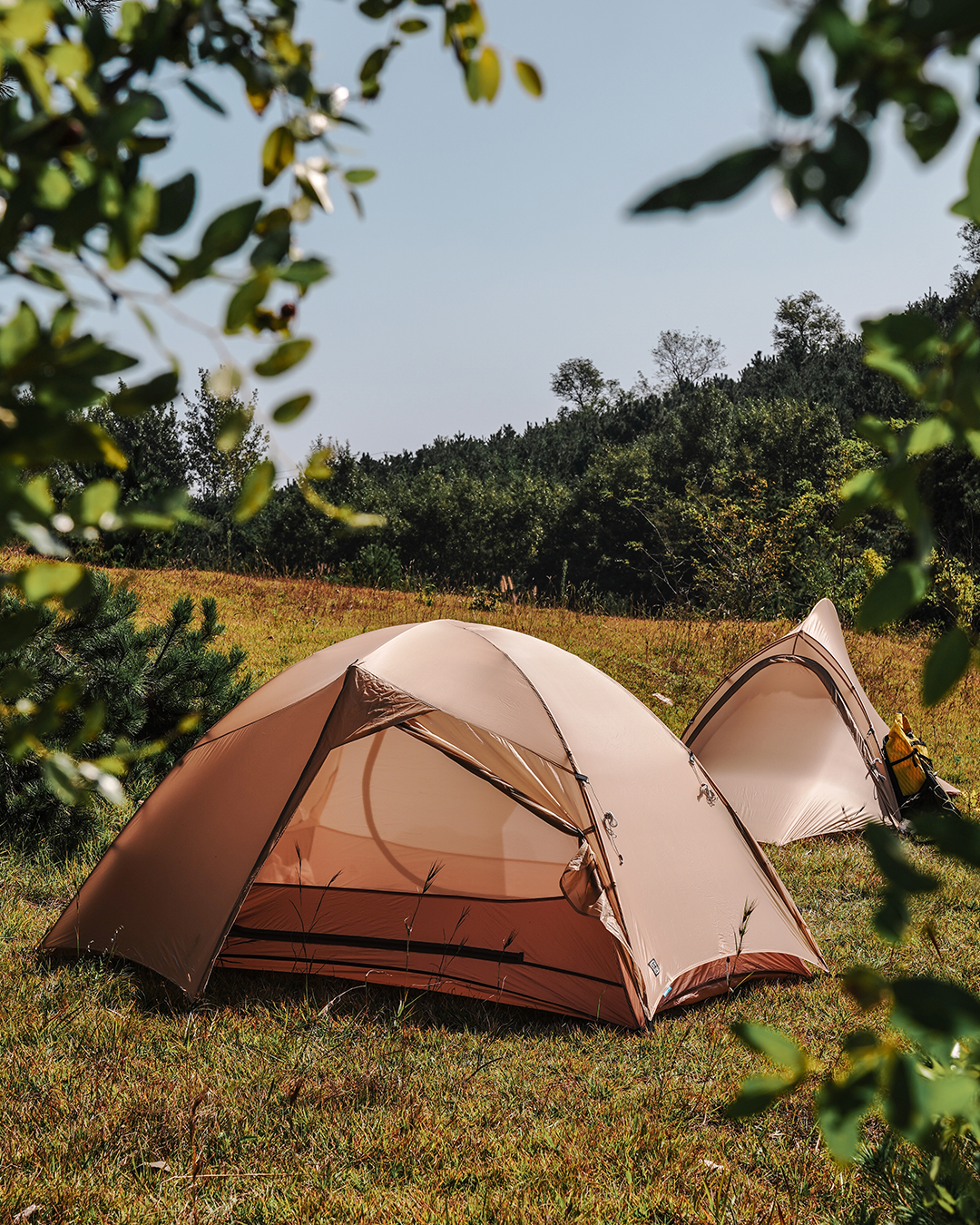 TFS Tents Gemini 2 Person Tent