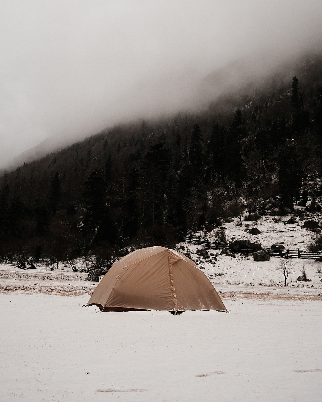 TFS Tents Gemini 2 Person Tent