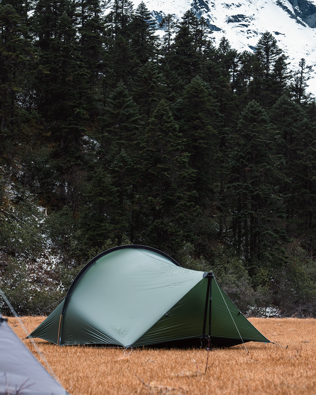 TFS Tents Enran 2