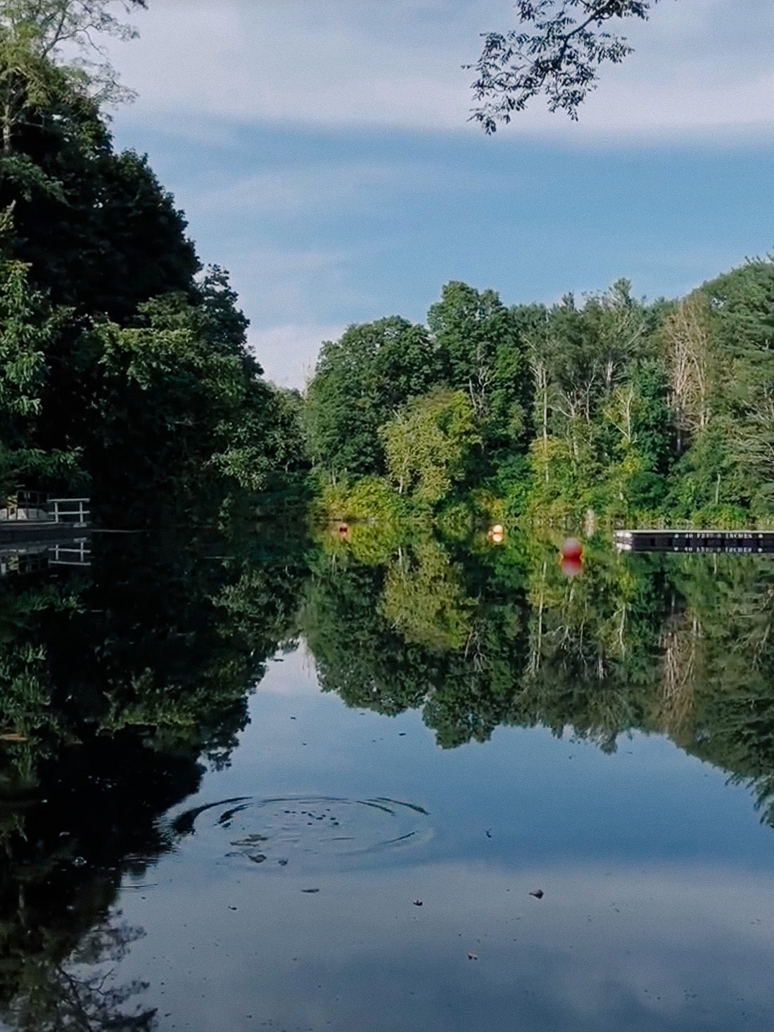 Hike 'n' Dine - Taconic State Park